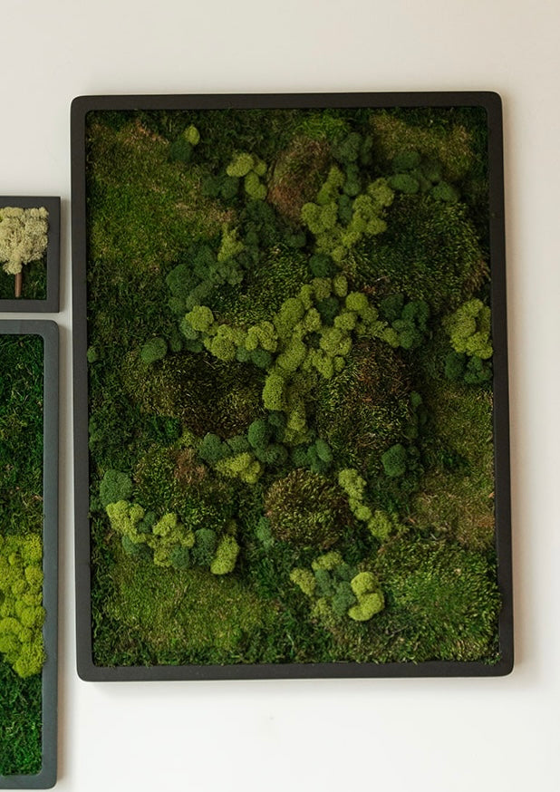 Mixed Moss