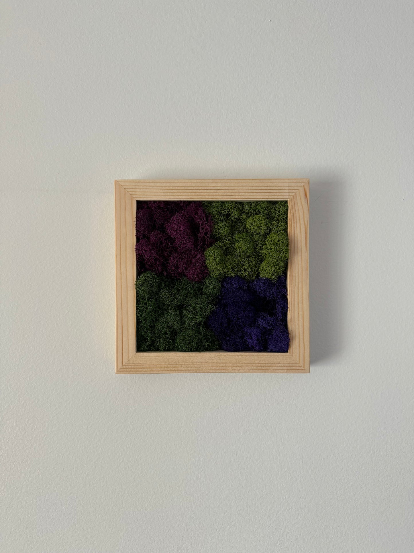Purple Squares