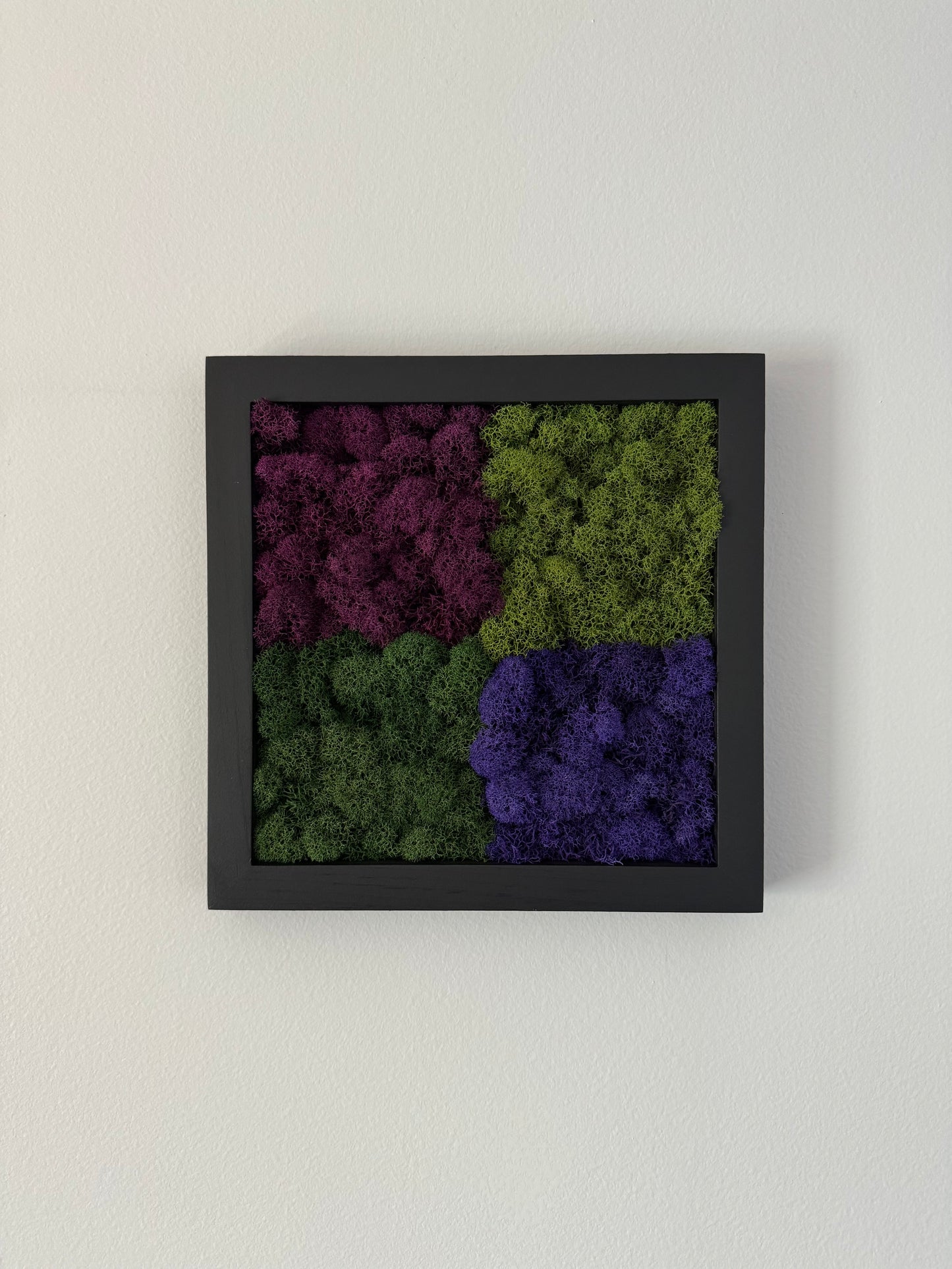 Purple Squares