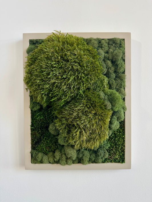 Mixed Moss, Rectangle