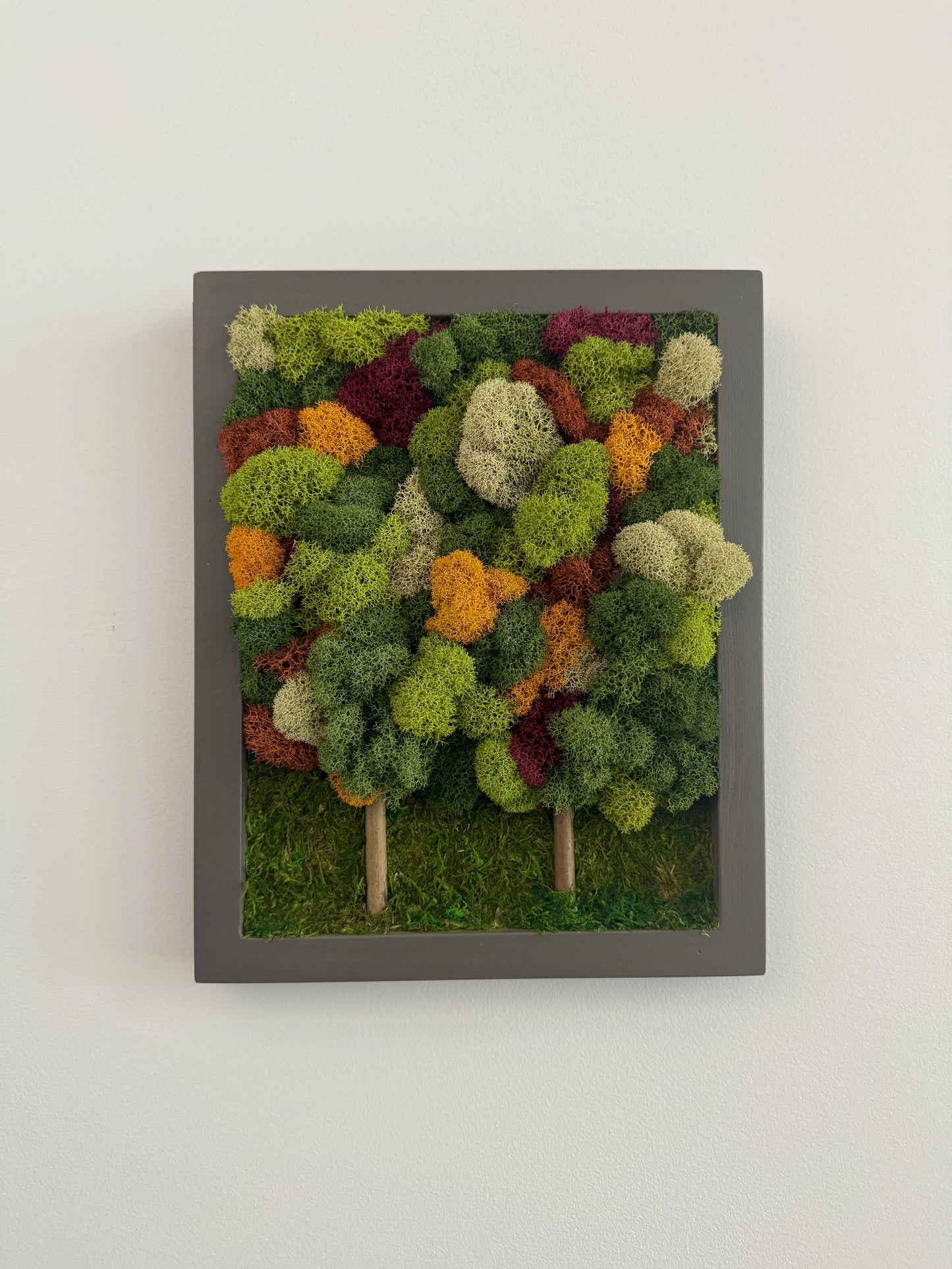 Fall Forest 2025, Rectangle