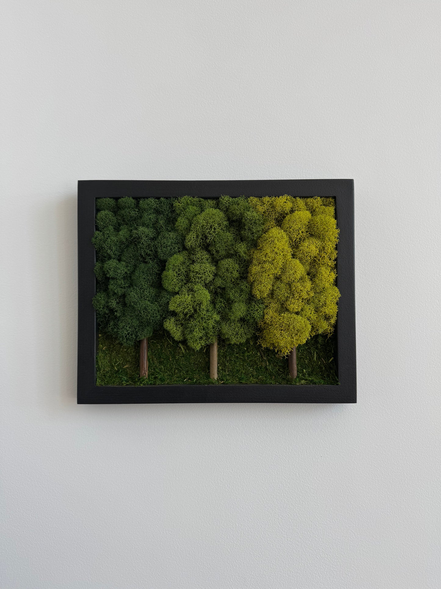 3 Tree Forest, Rectangle