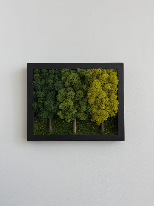 3 Tree Forest, Rectangle