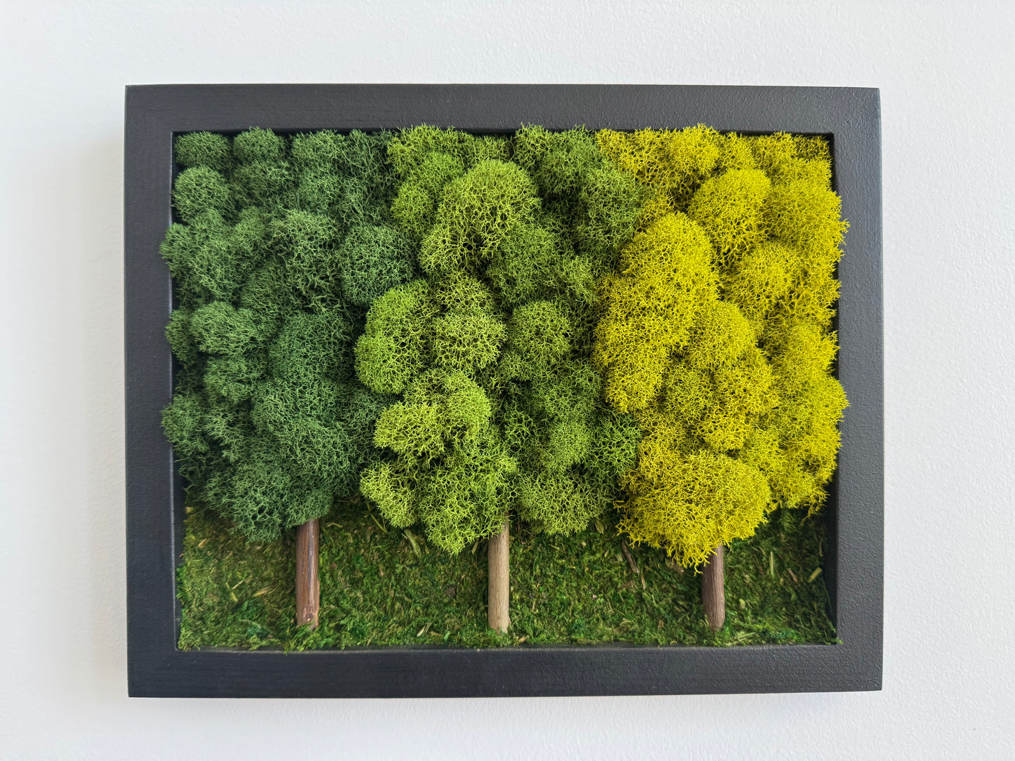 3 Tree Forest, Rectangle