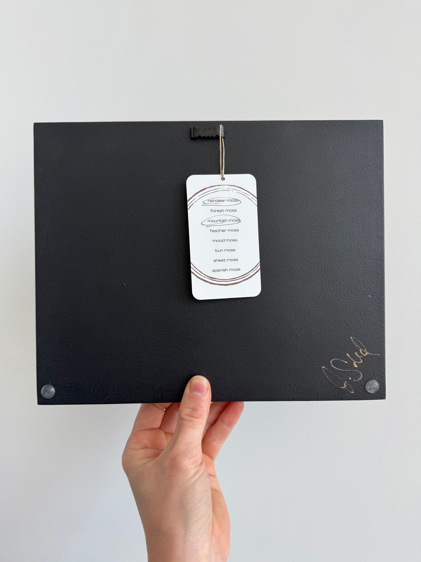 3 Tree Forest, Rectangle