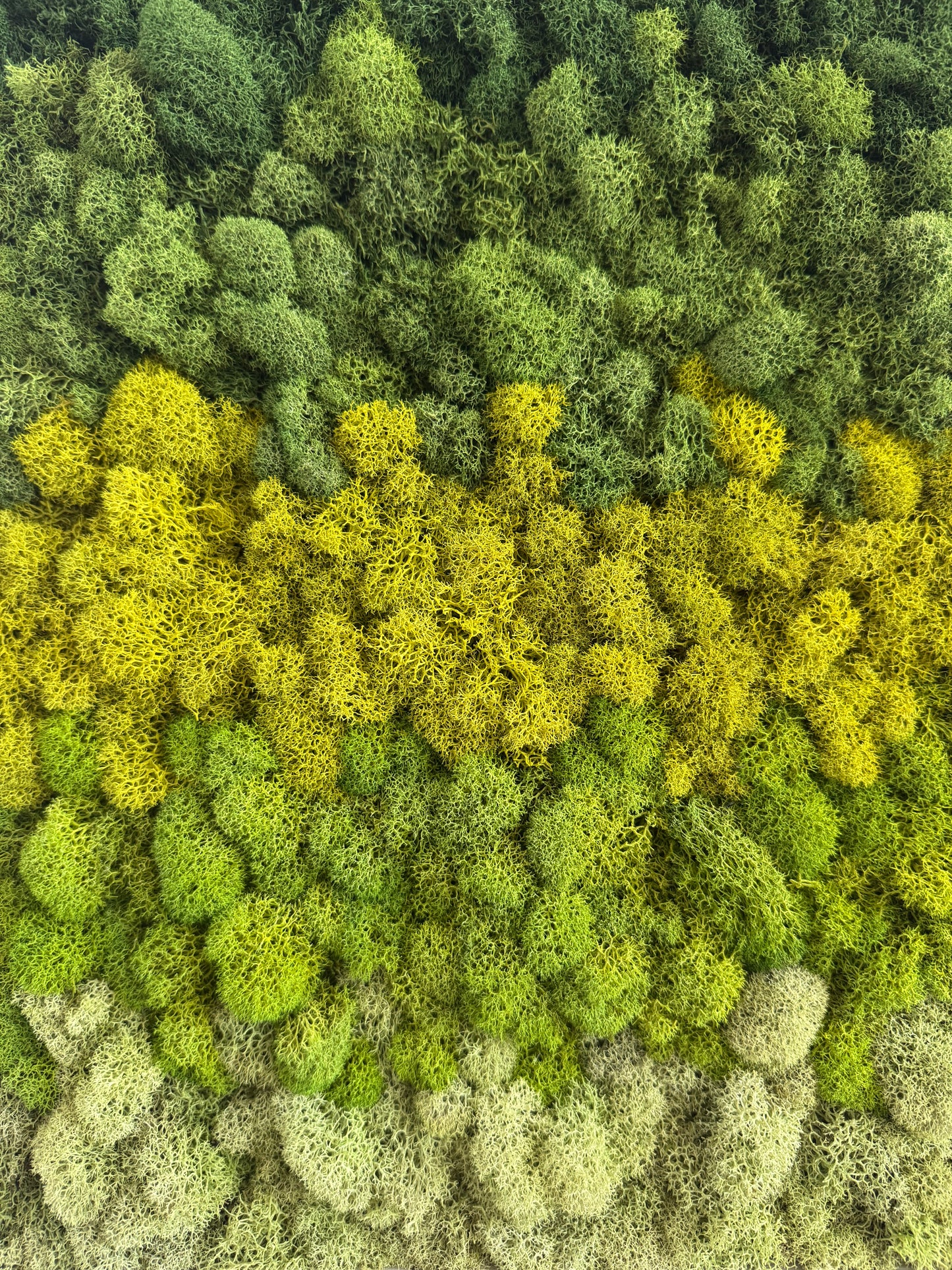 Vertical Ombré, Rectangle