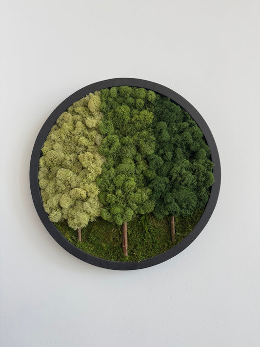 3 Tree Forest, Round