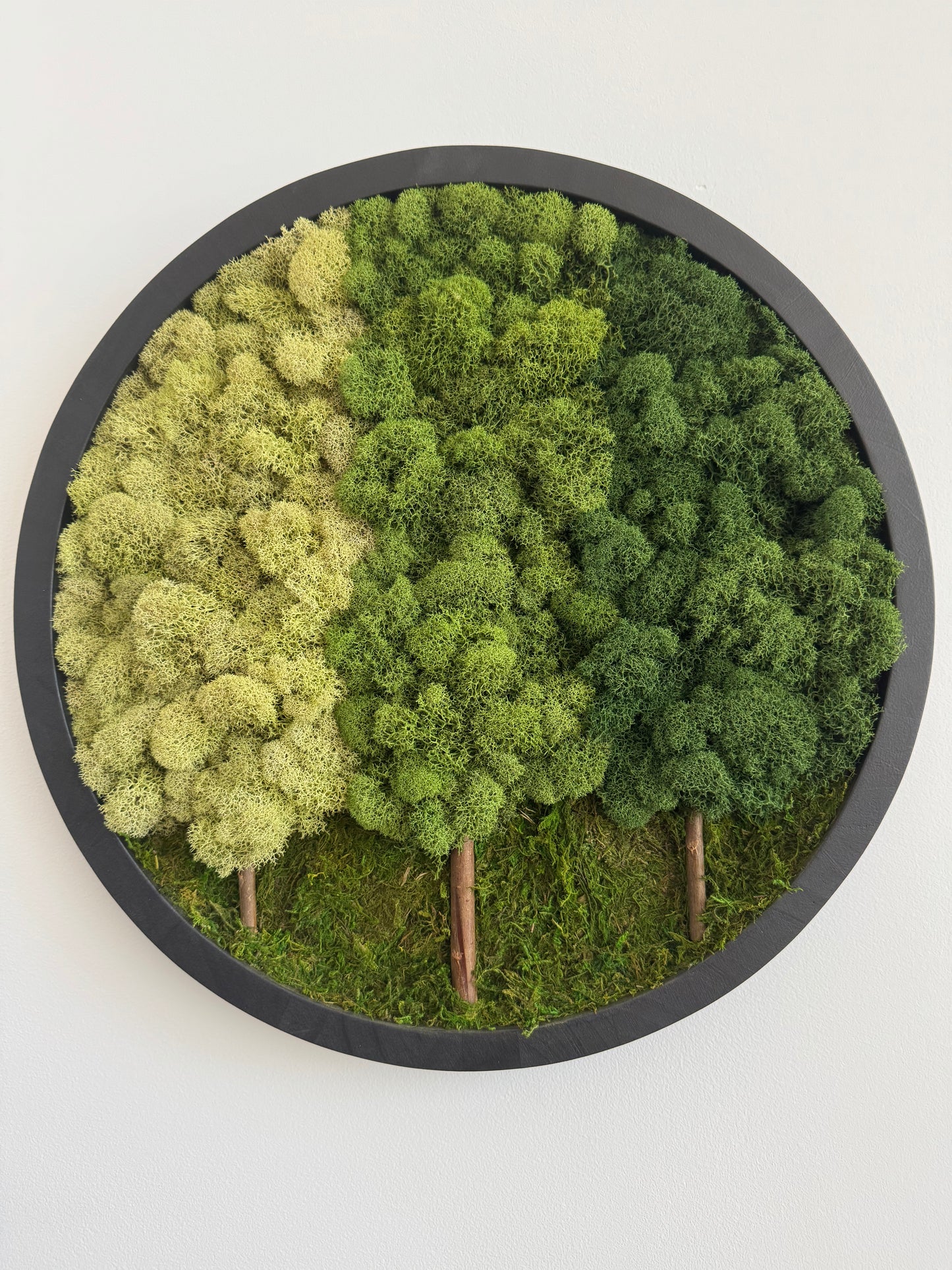 3 Tree Forest, Round