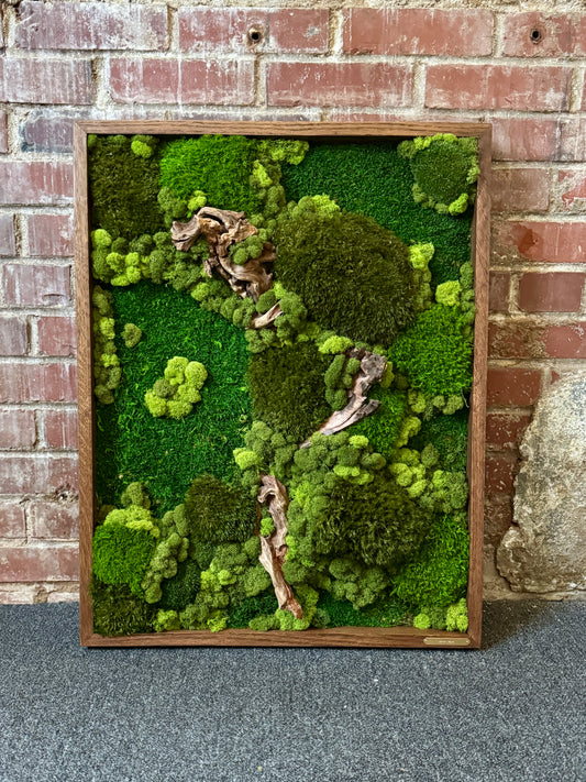 The Forest Between
