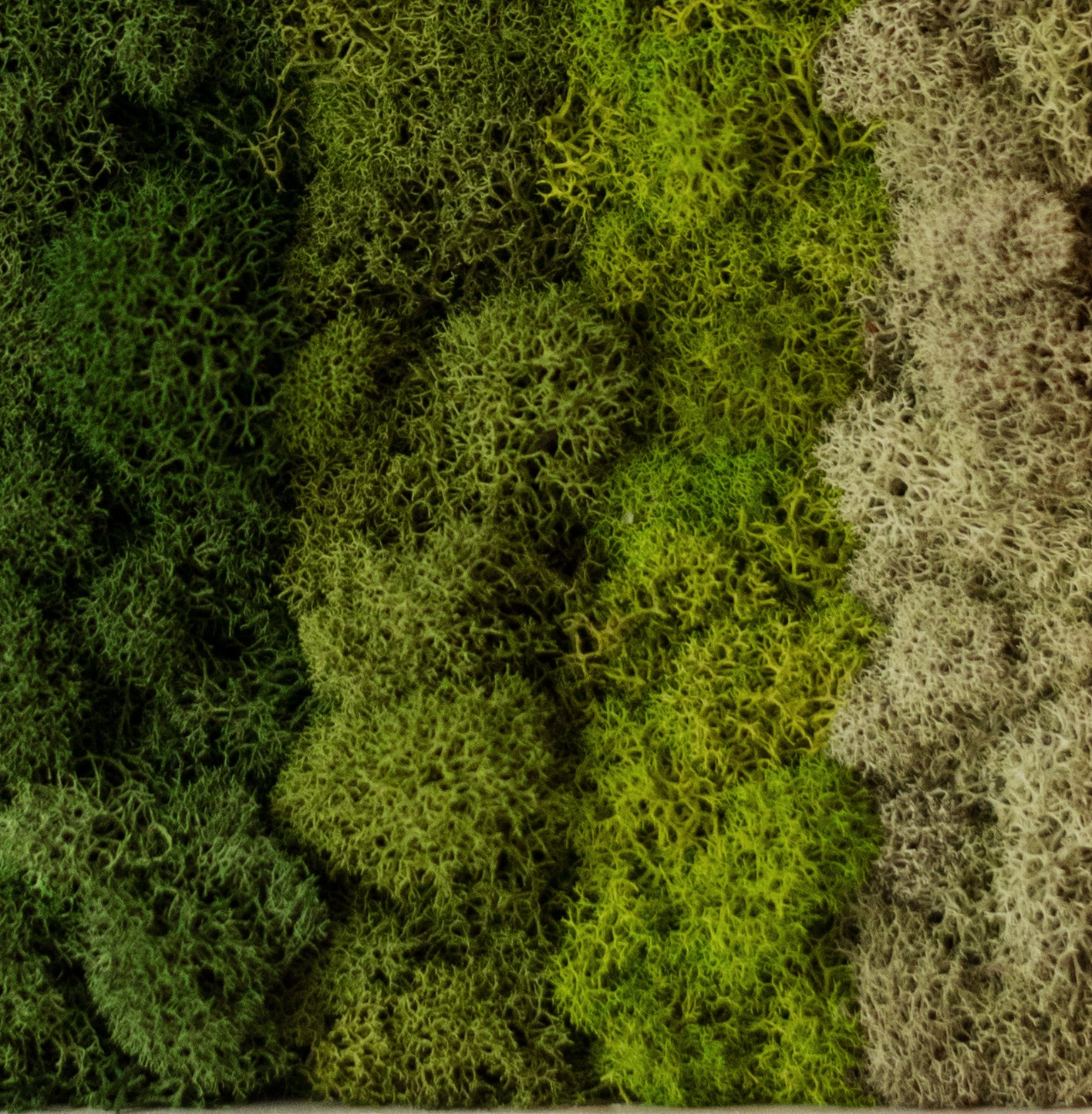 Horizontal Gradient