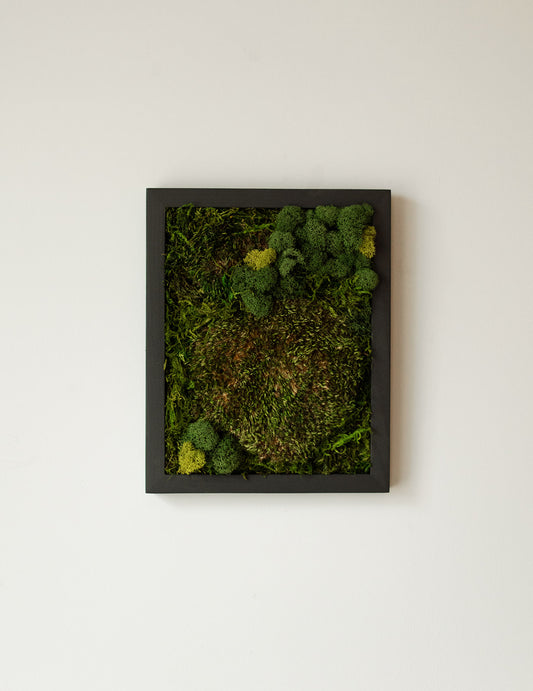 Mixed Moss