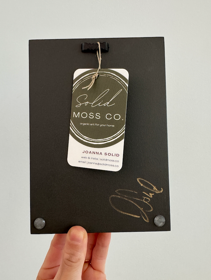 Fall Forest 2025, Rectangle