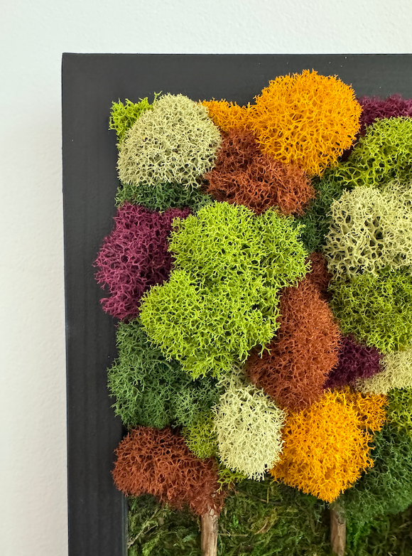 Fall Forest 2025, Rectangle