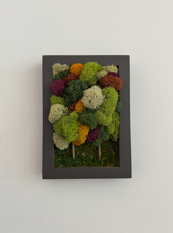 Fall Forest 2025, Rectangle