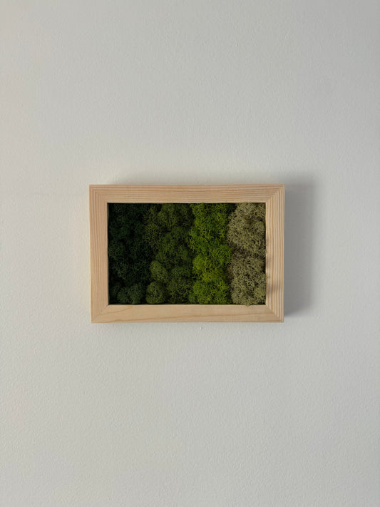 Horizontal Gradient, Rectangle