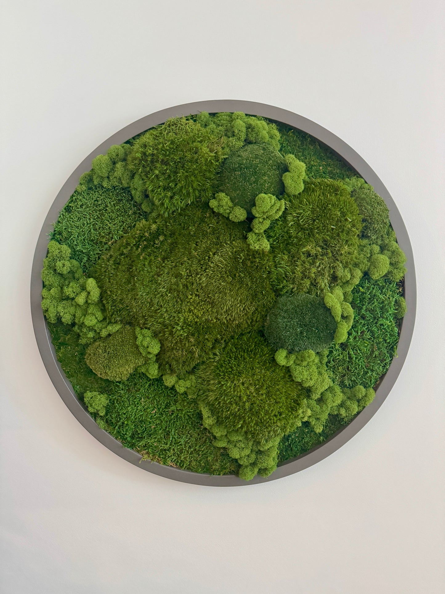 Mixed Moss