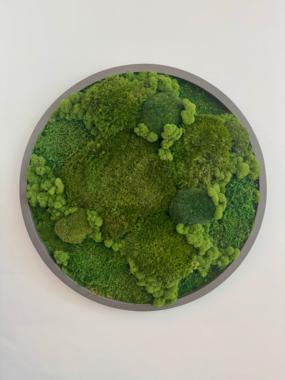 Mixed Moss
