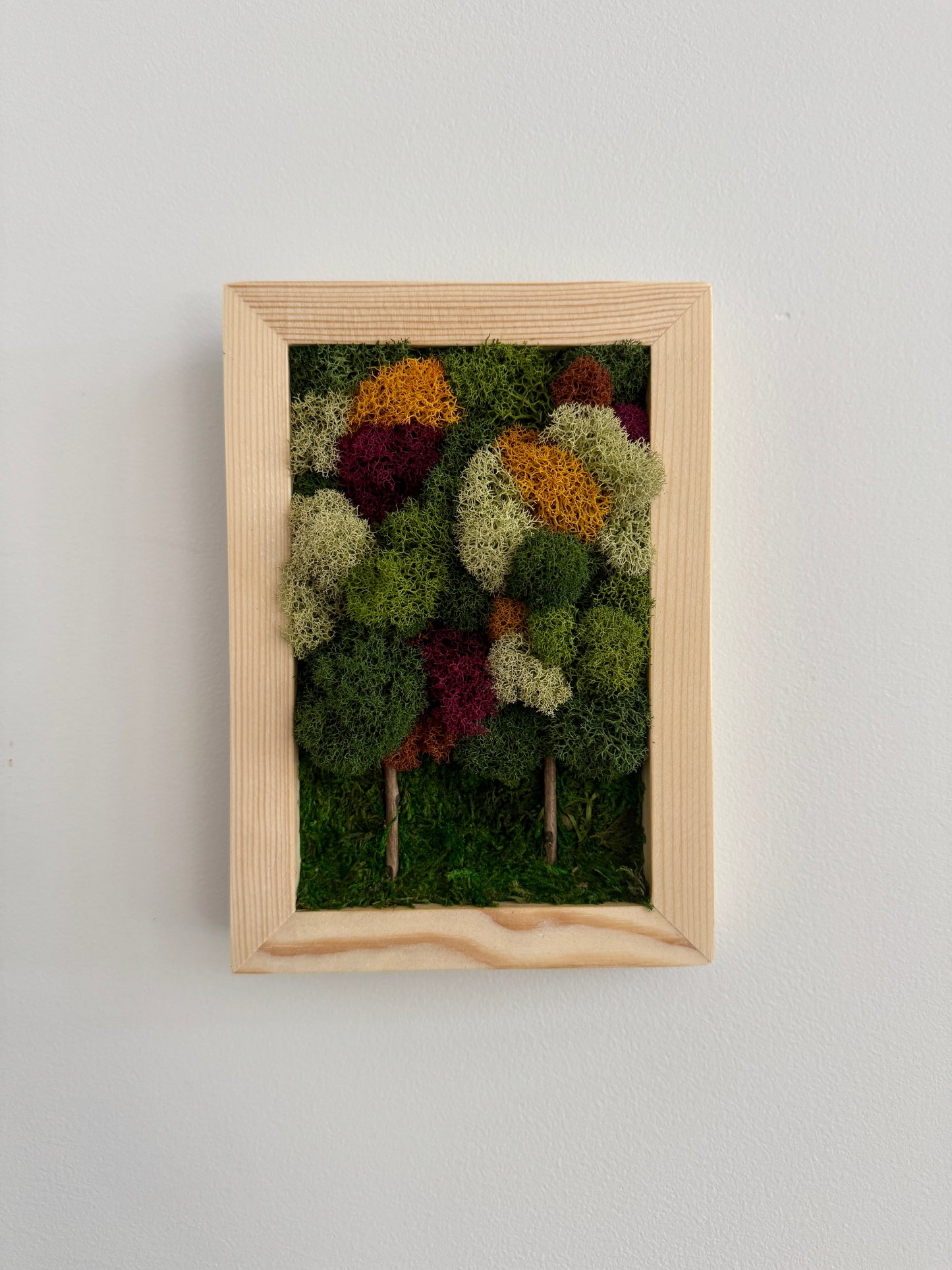 Fall Forest 2025, Rectangle