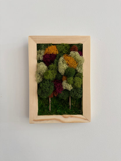Fall Forest 2025, Rectangle