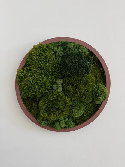 Mixed Moss
