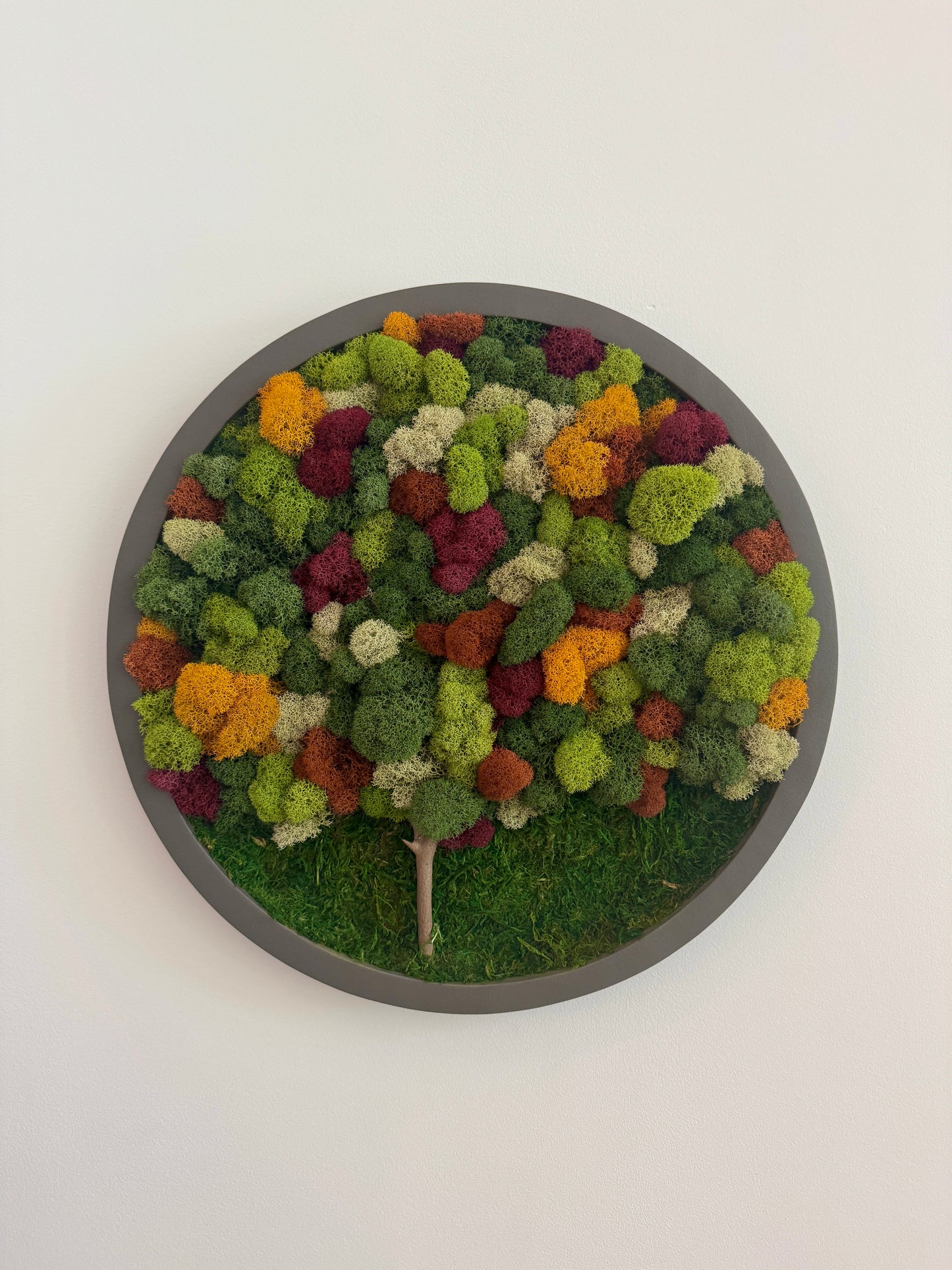 Fall Forest 2025, Round