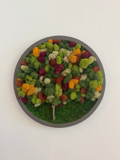 Fall Forest 2025, Round