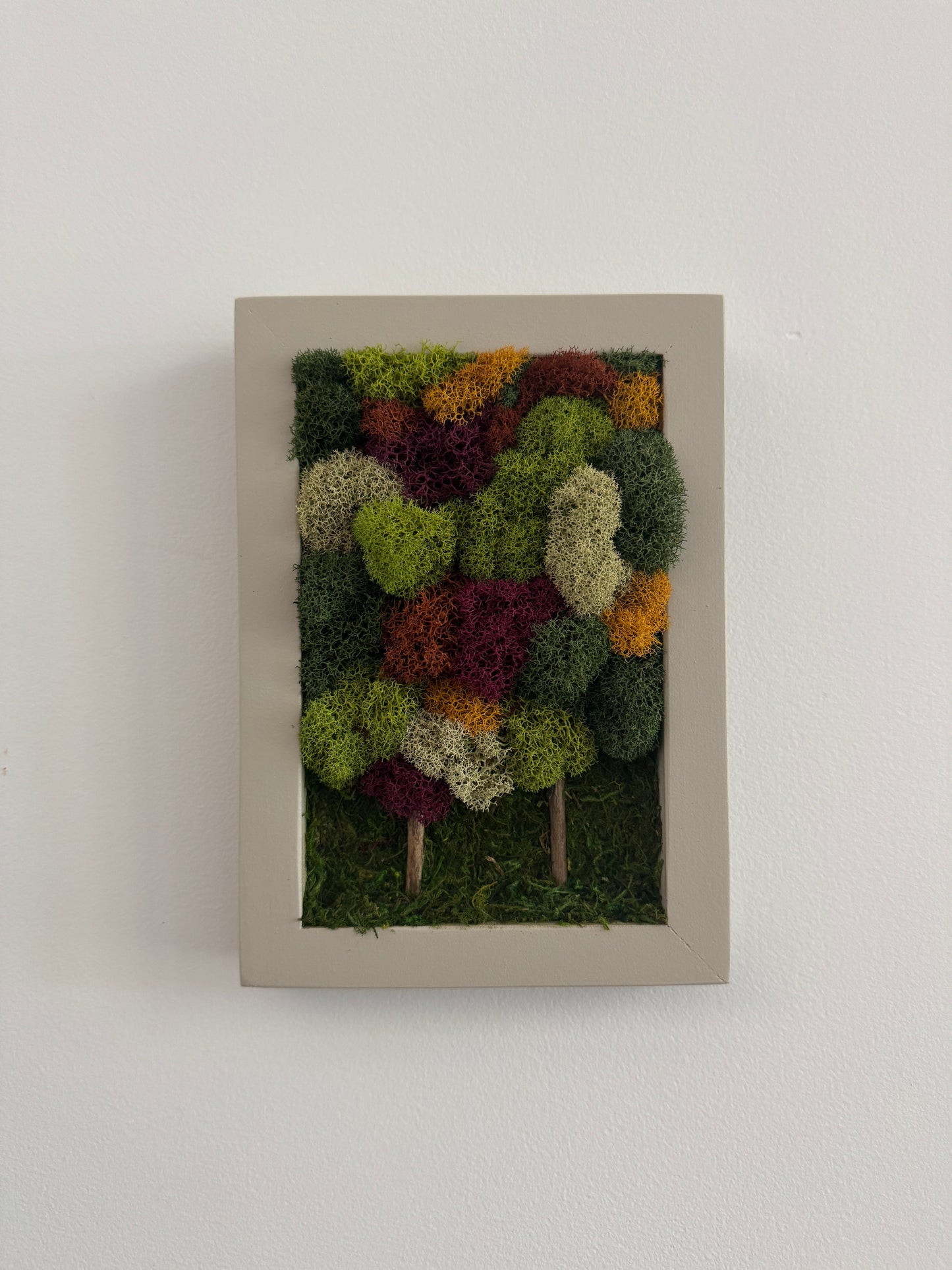 Fall Forest 2025, Rectangle