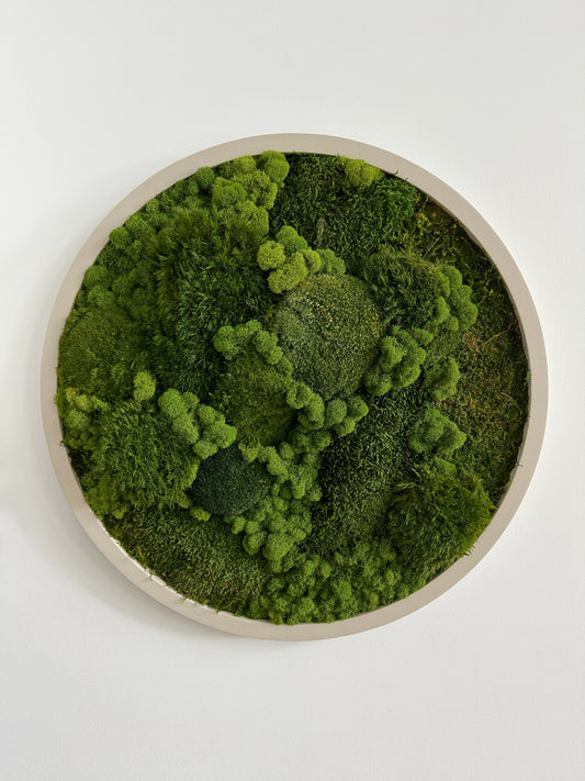 Mixed Moss, Circle