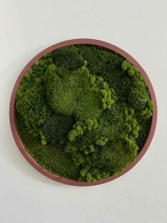 Mixed Moss