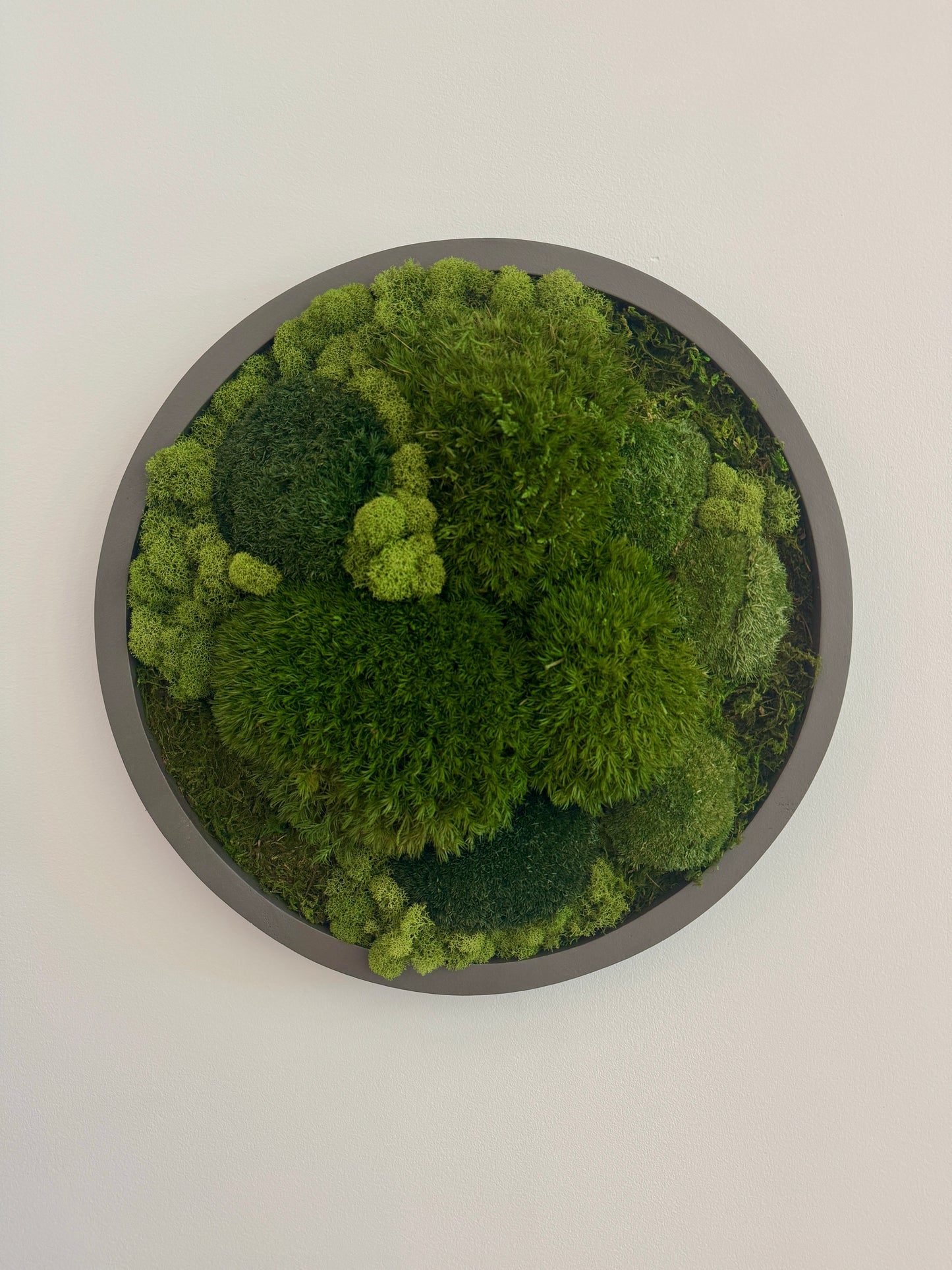 Mixed Moss