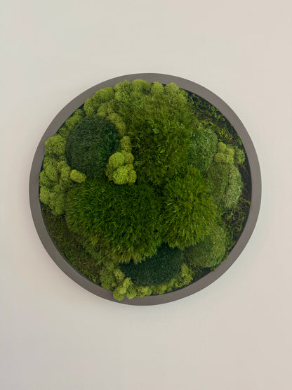 Mixed Moss