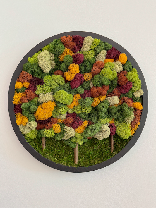 Fall Forest 2025, Round