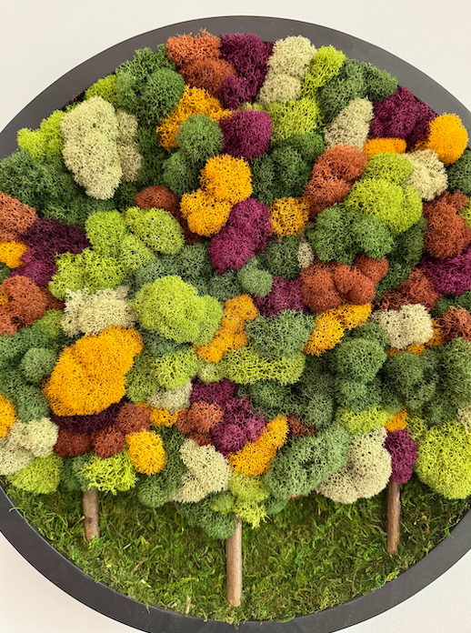 Fall Forest 2025, Round