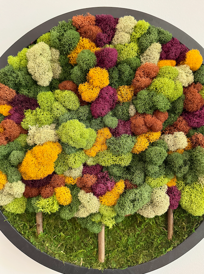 Fall Forest 2025, Round