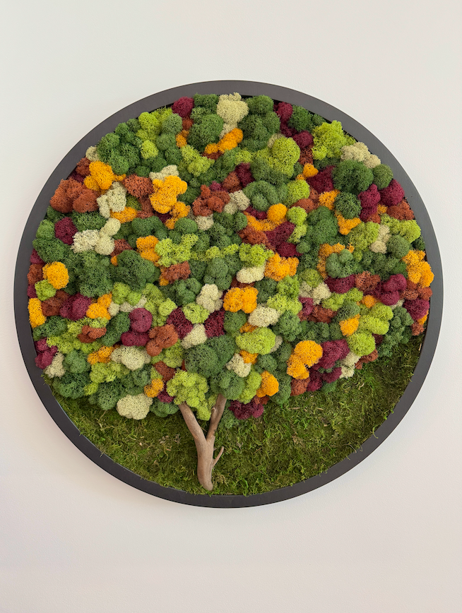 Fall Forest 2025, Round