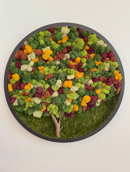 Fall Forest 2025, Round