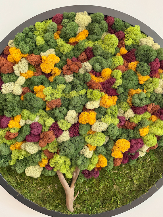 Fall Forest 2025, Round