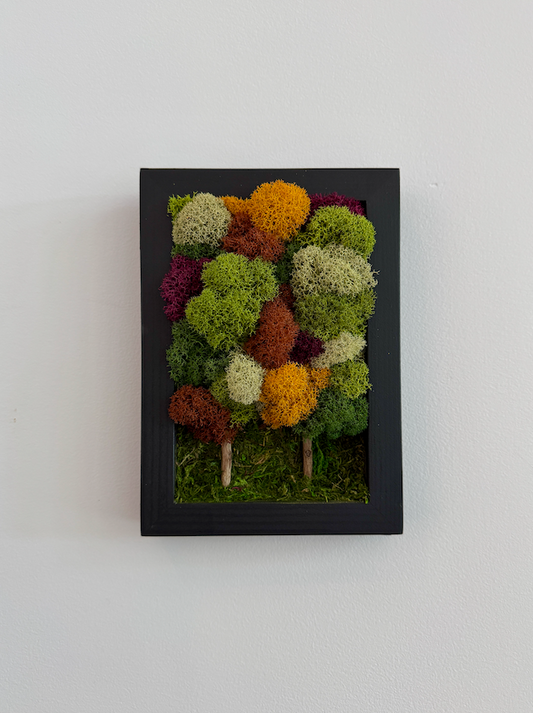 Fall Forest 2025, Rectangle