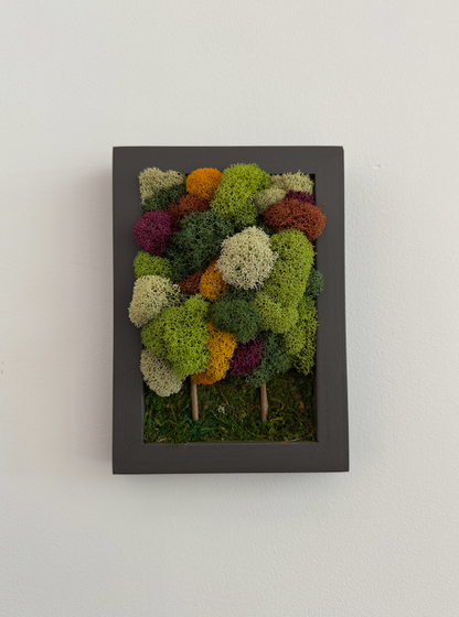 Fall Forest 2025, Rectangle