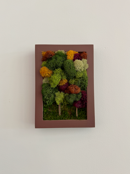 Fall Forest 2025, Rectangle