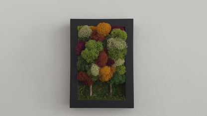 Fall Forest 2025, Rectangle