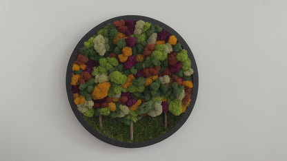 Fall Forest 2025, Round