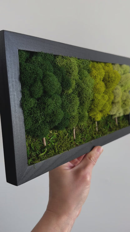4 Tree Forest